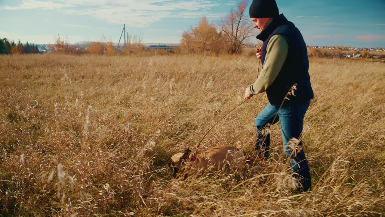 En person nyder en afslappet gåtur med en hund i et solbeskinnet felt omgivet af højt græs og efterårsløv, der indfanger essensen af en fredelig udendørsoplevelse i naturen