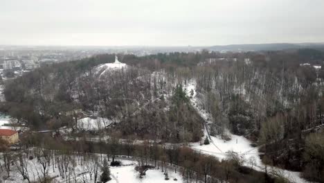 toma aérea de las colinas del bosque cubiertas de nieve