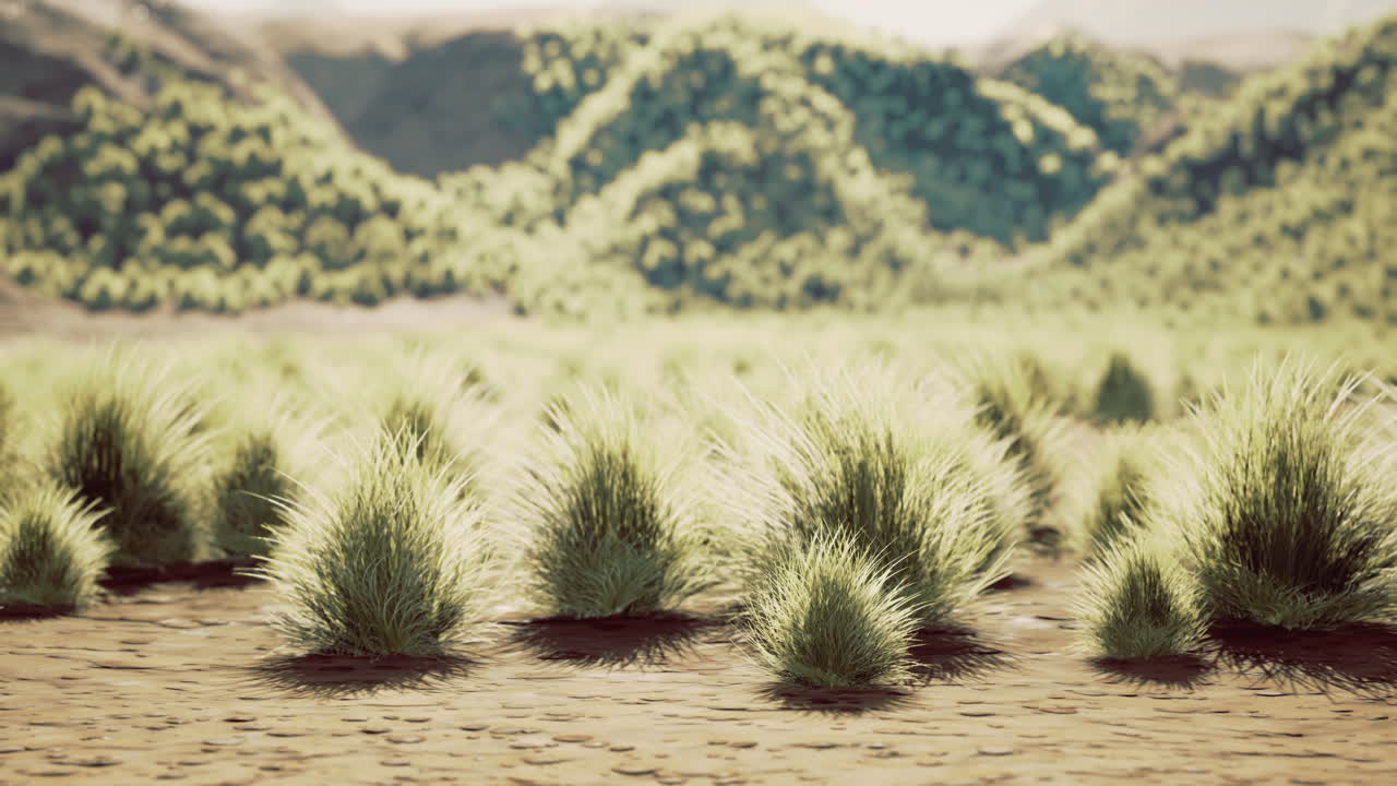 밝은 낮의 은 언덕과 함께 울창한 초원 풍경