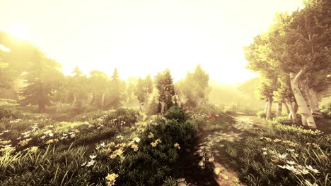 cartoon sunbeams streaming through the trees