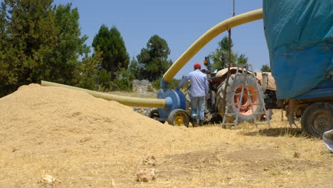 Hay-sprayer-young-man