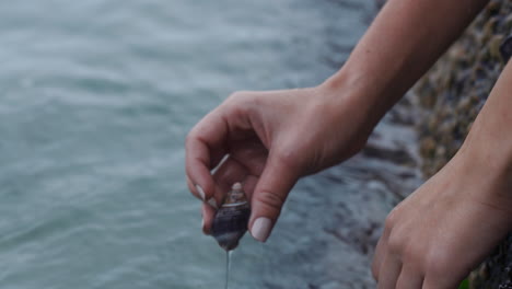 close up woman hands holding seashell taking shell out of ocean water