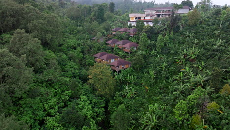 lush tropical jungle in bali with luxury villas on stilts, aerial dolly