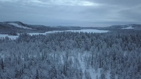 The-frozen-lake-and-forest-near-Borgvattnet,-Sweden