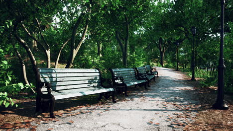 empty benches in the park during the quarantine due to the pandemic covid-19