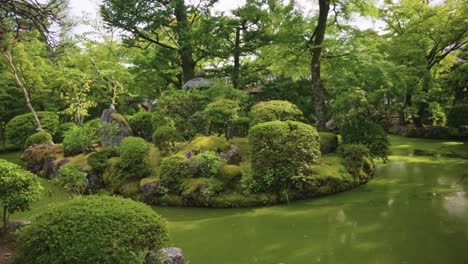 kiyomizu dera zen garden and pond in beautiful green summer scene, kyoto japan