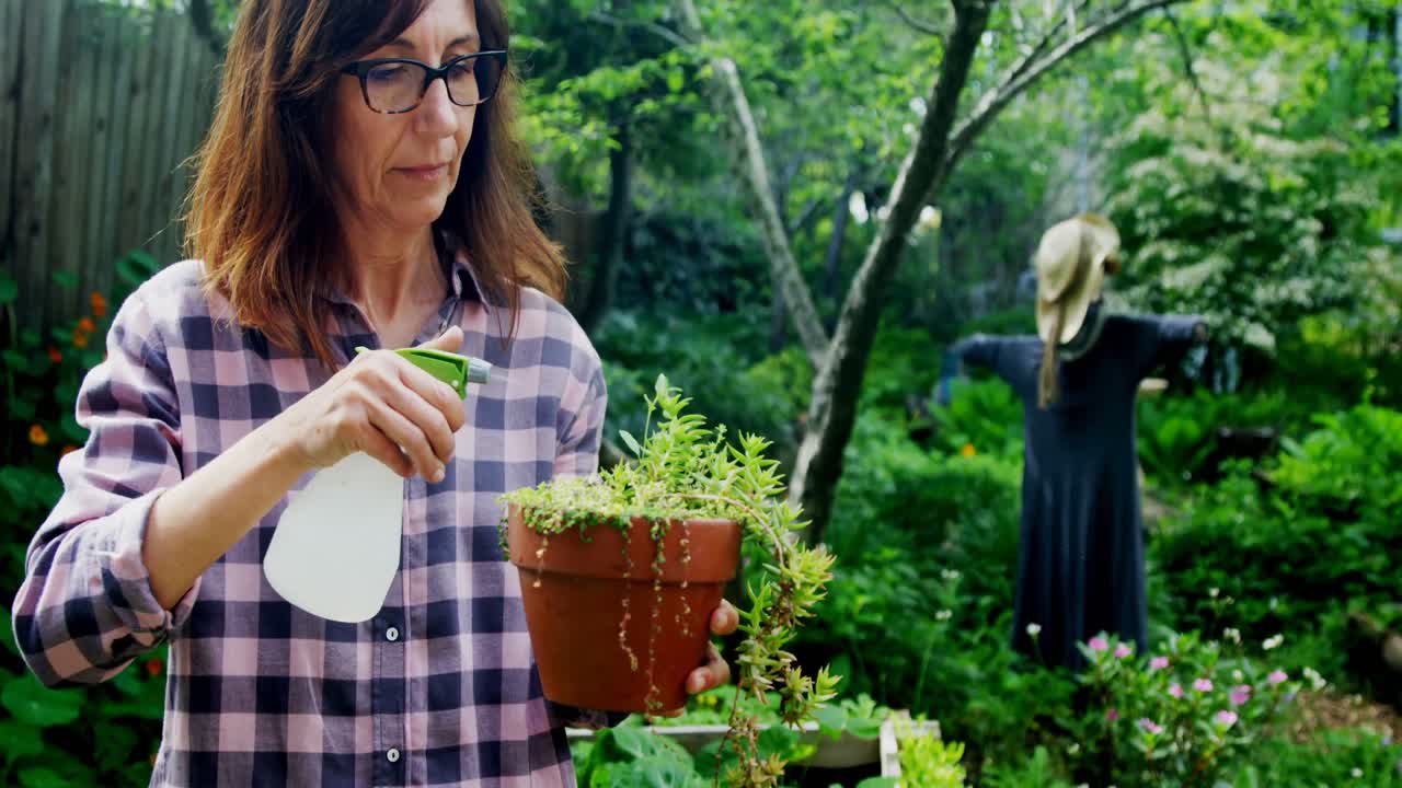 mujer madura regando plantas en el jardín 4k