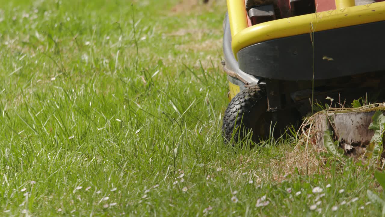 뒷마당에서 잔디를 자르는 잔디 ⁇ 기 기계