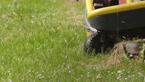 lawnmower machine cutting grass at the backyard