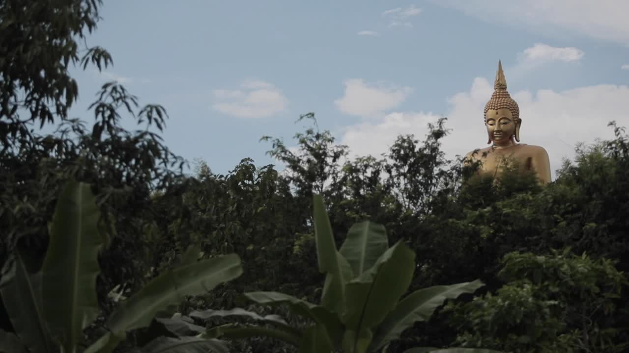 buda dorado por encima de una jungla en tailandia