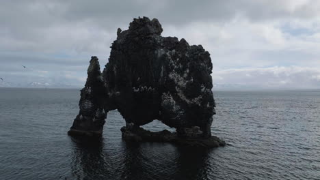 hvítserkur basalt rock in sea by coast of iceland, drone aerial view