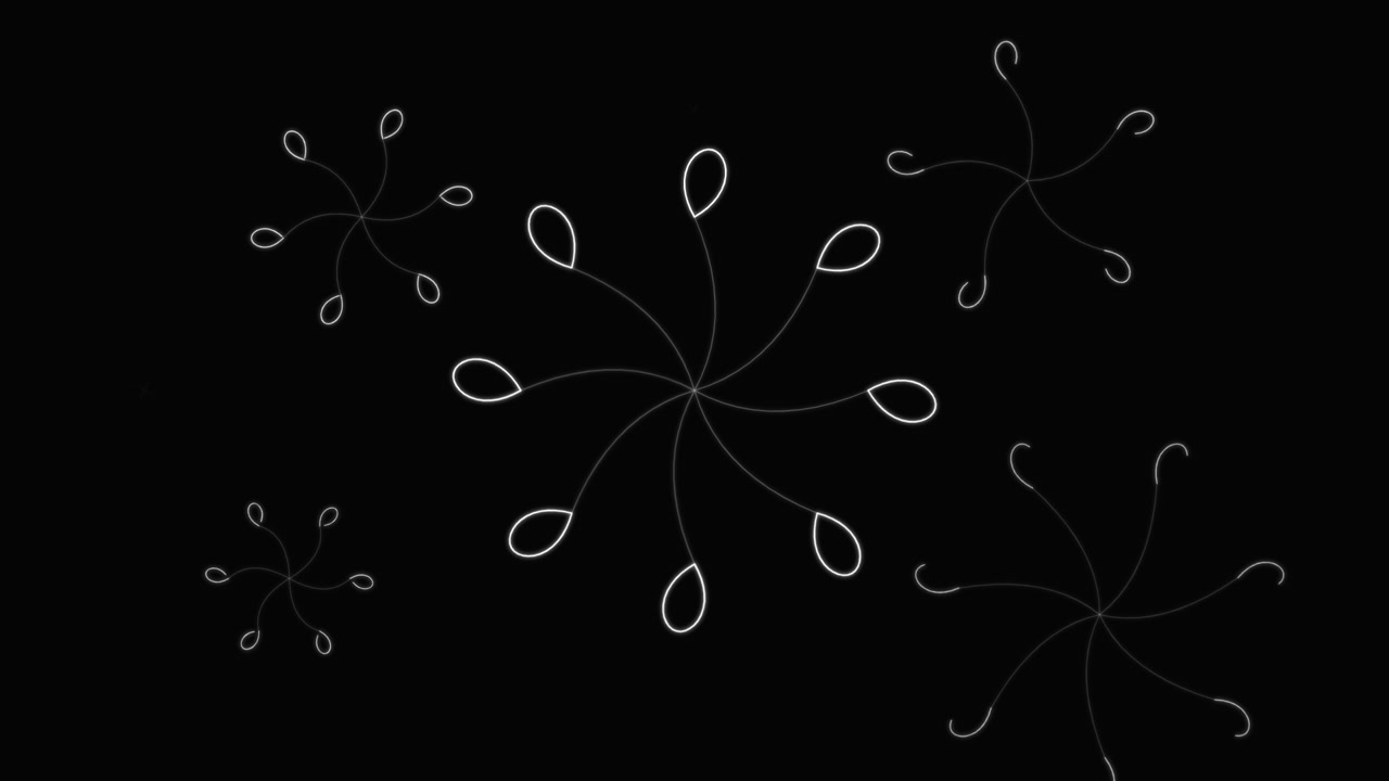 Animazione astratta di motivi floreali bianchi rotanti su sfondo nero