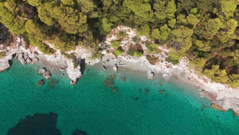 a rocky coastline with turquoise water and lush trees on a sunny day, aerial view