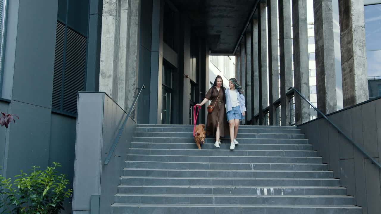 Women walking a dog on city stairs