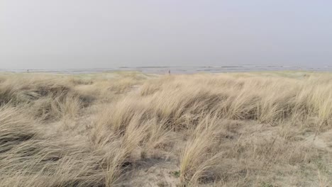 pulling back across long grass coving beach sand dunes as a person walks in the distance, aerial