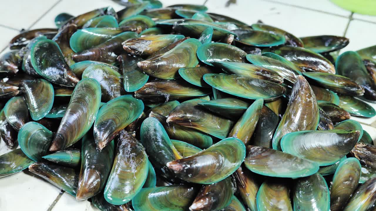 Fresh green mussels stacked in market showing wet shells and rich texture