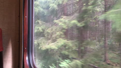 looking through the windows of an old orange train - railcar that are moving, outside the trees passing by.