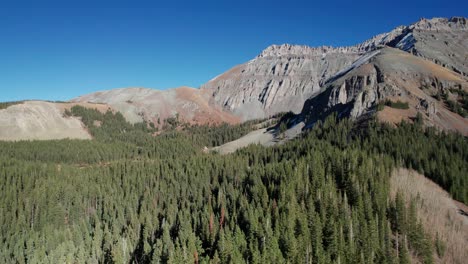 cinematic drone shot panning across a pine tree forest and rocky mountain peaks