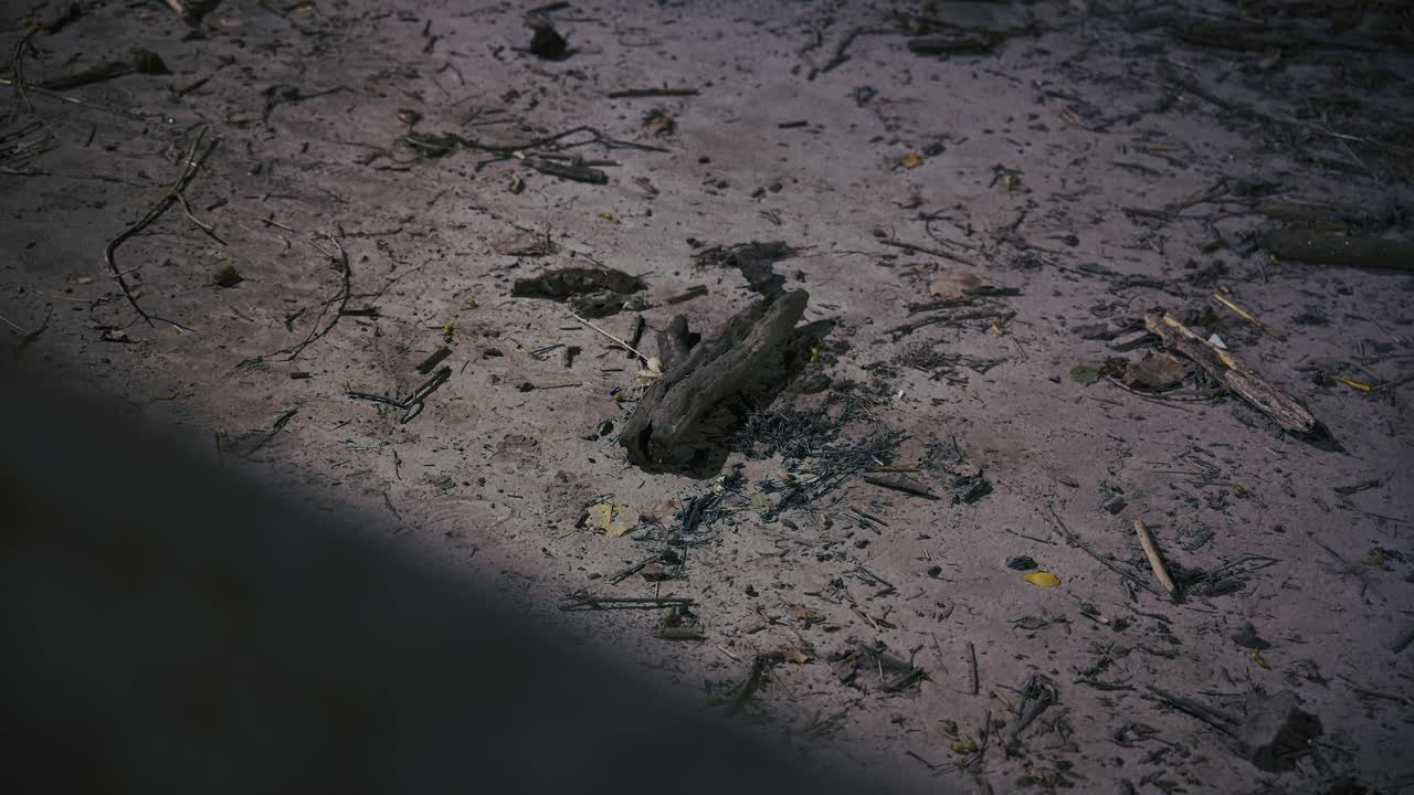 ночная сцена на берегу реки, показывающая затопленные обломки