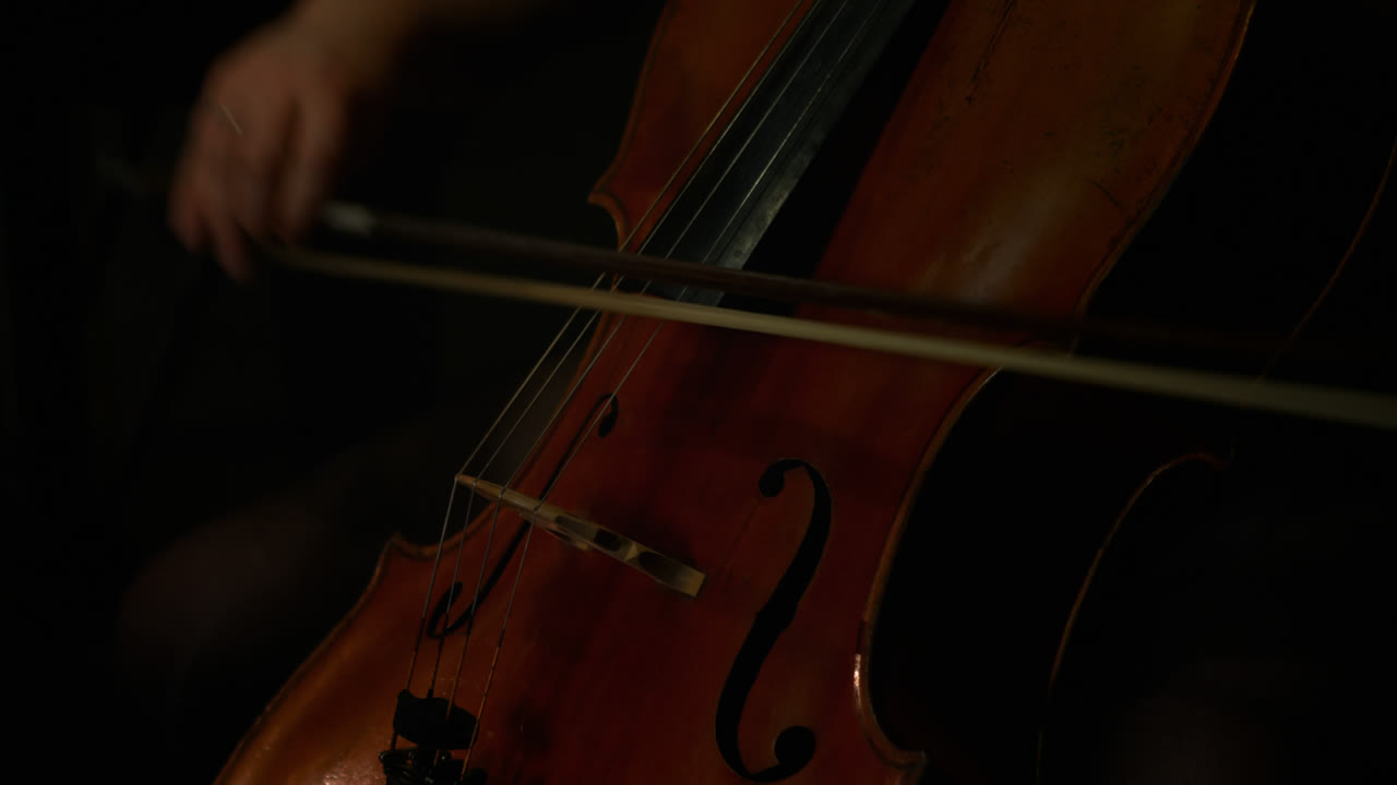 Woman playing a violin