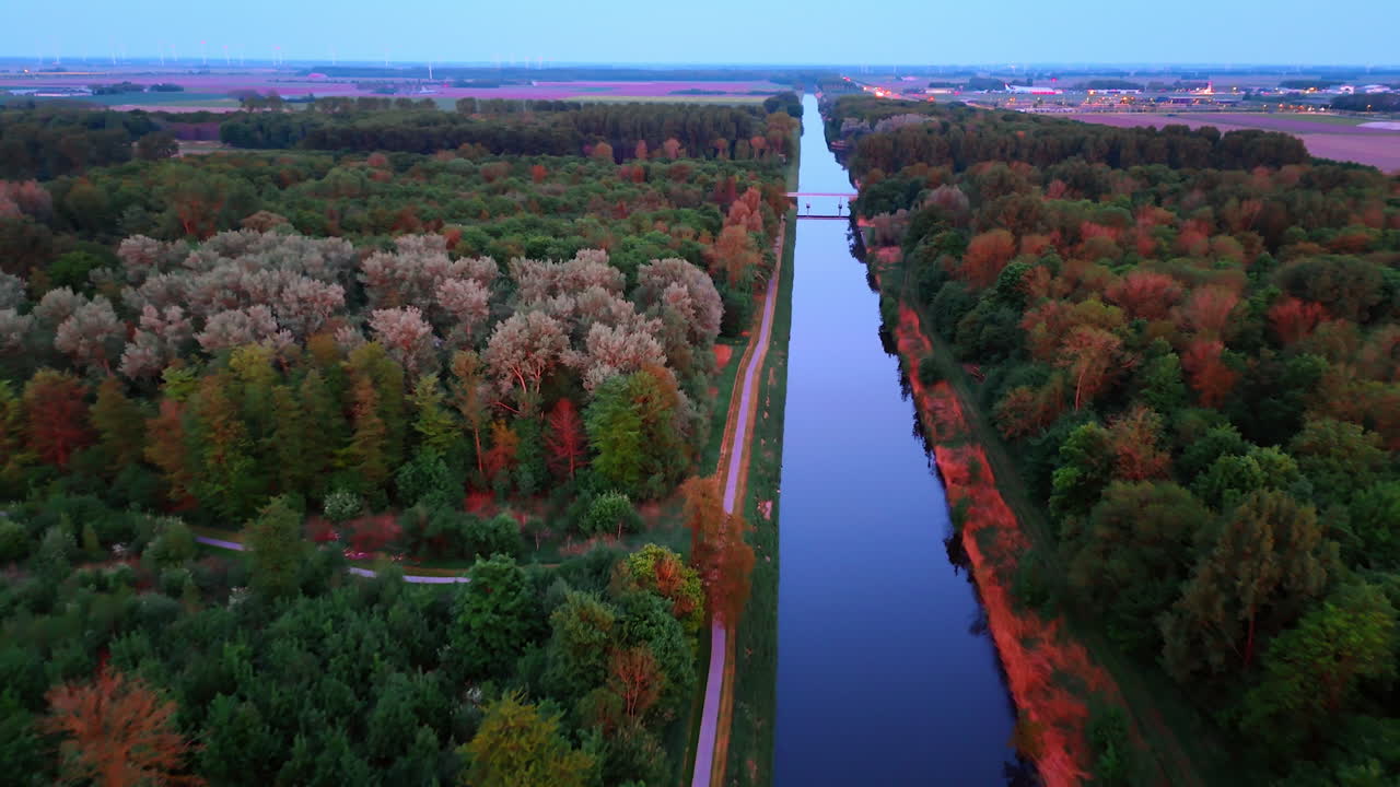 Vibrant autumn forest along Dutch canal. Aerial view of a colorful forest adjacent to a canal in the Netherlands during autumn, showcasing stunning nature