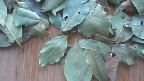 Dry-Laurel-Leaves-Background-Rotation