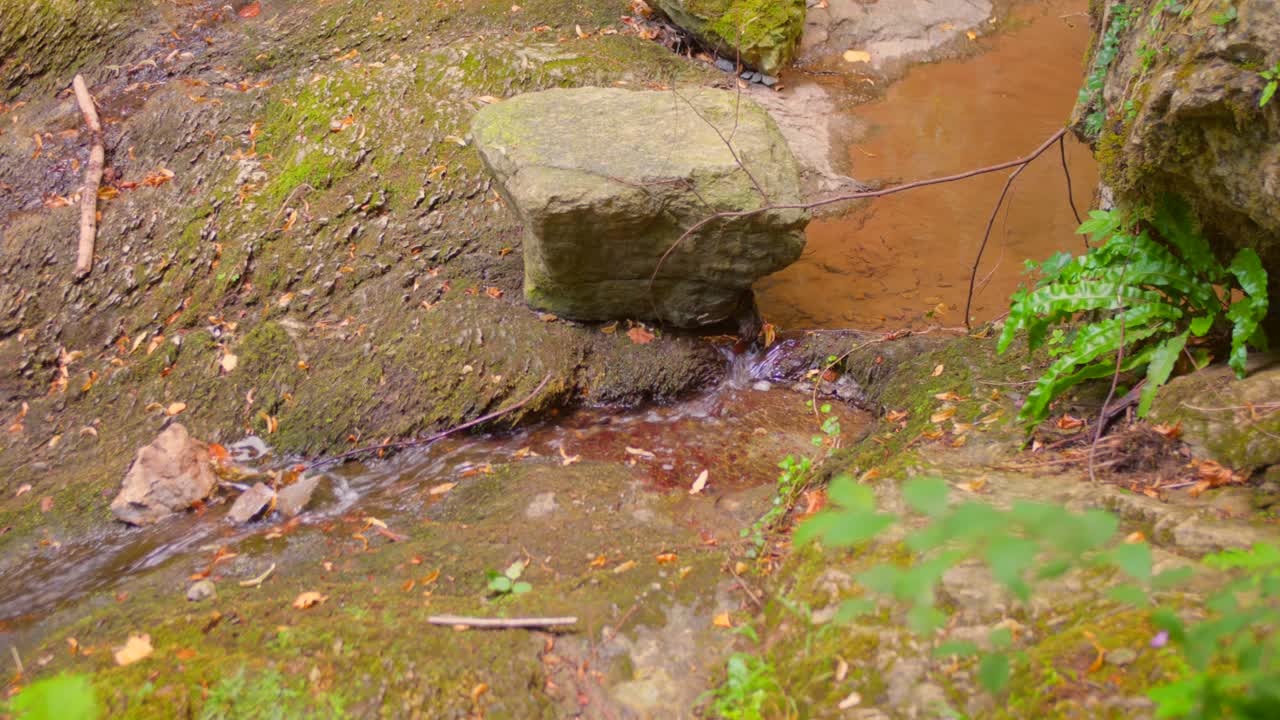 Detailed close-up view of a natural river stream with clear water and flowing motion in France