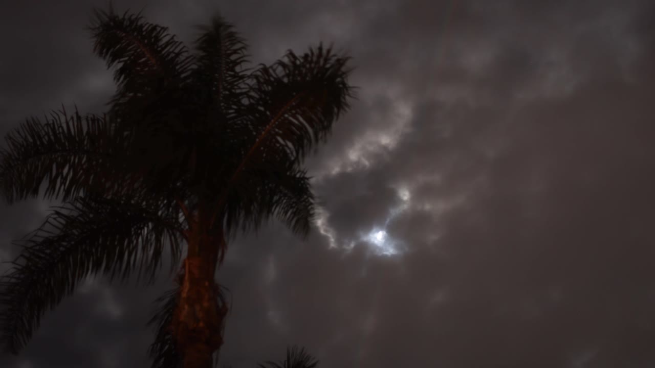 el cielo nocturno en evolución con la luz de la luna y las palmeras
