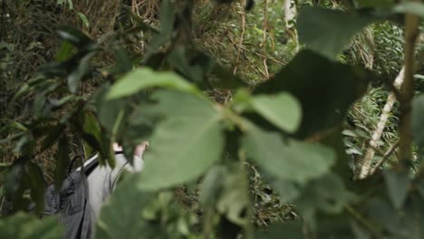 un joven caucásico camina por el bosque brasileño mientras la cámara lo sigue a cámara lenta