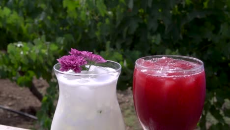 cócteles en un bar en la naturaleza