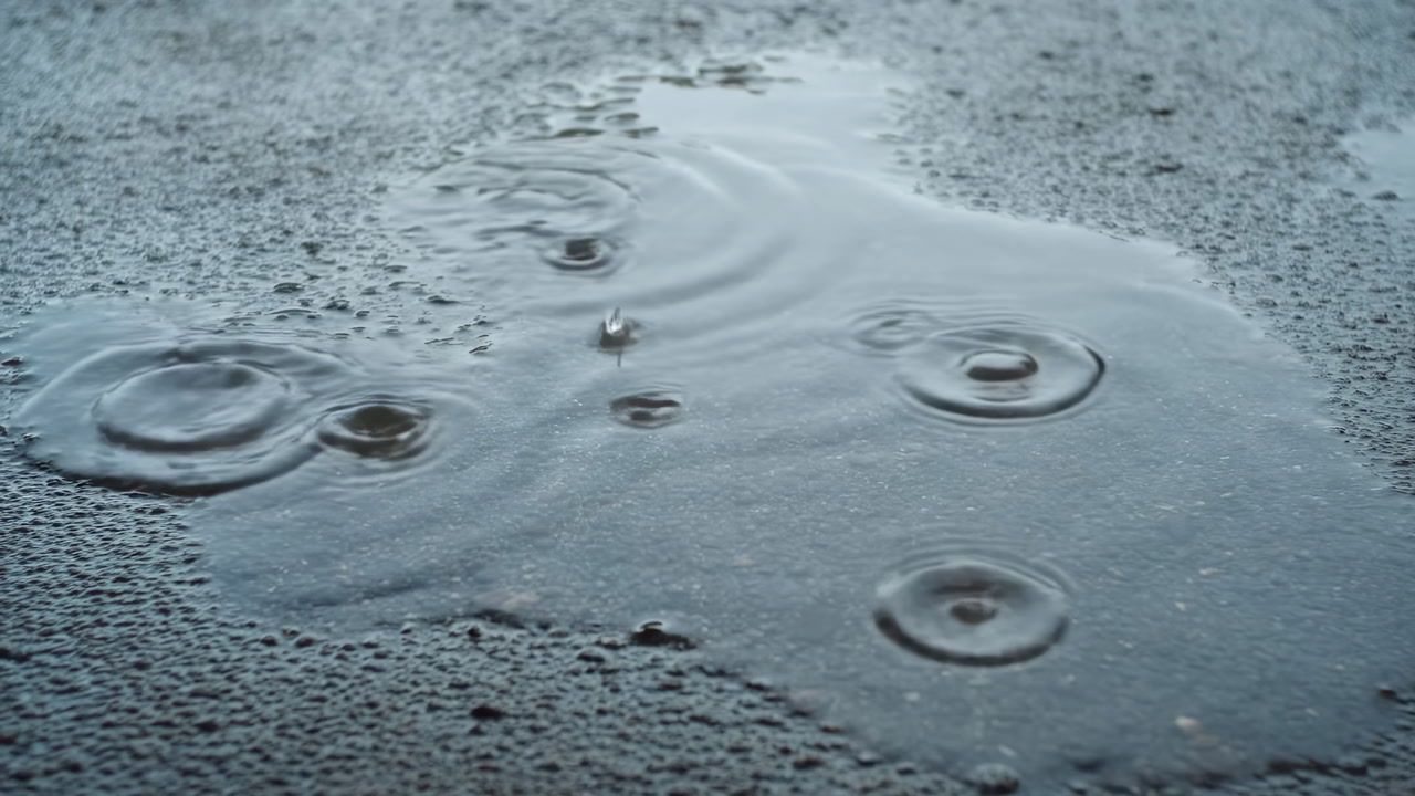 Rain Ripples In Urban Puddle On Asphalt, Concentric Circles Expanding As Droplets Strike Wet Surface, Gray