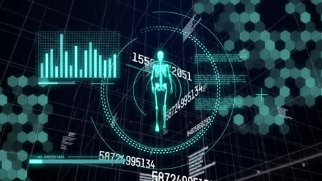 esqueleto humano con gráficos de datos y números, animación médica en el fondo de la cuadrícula