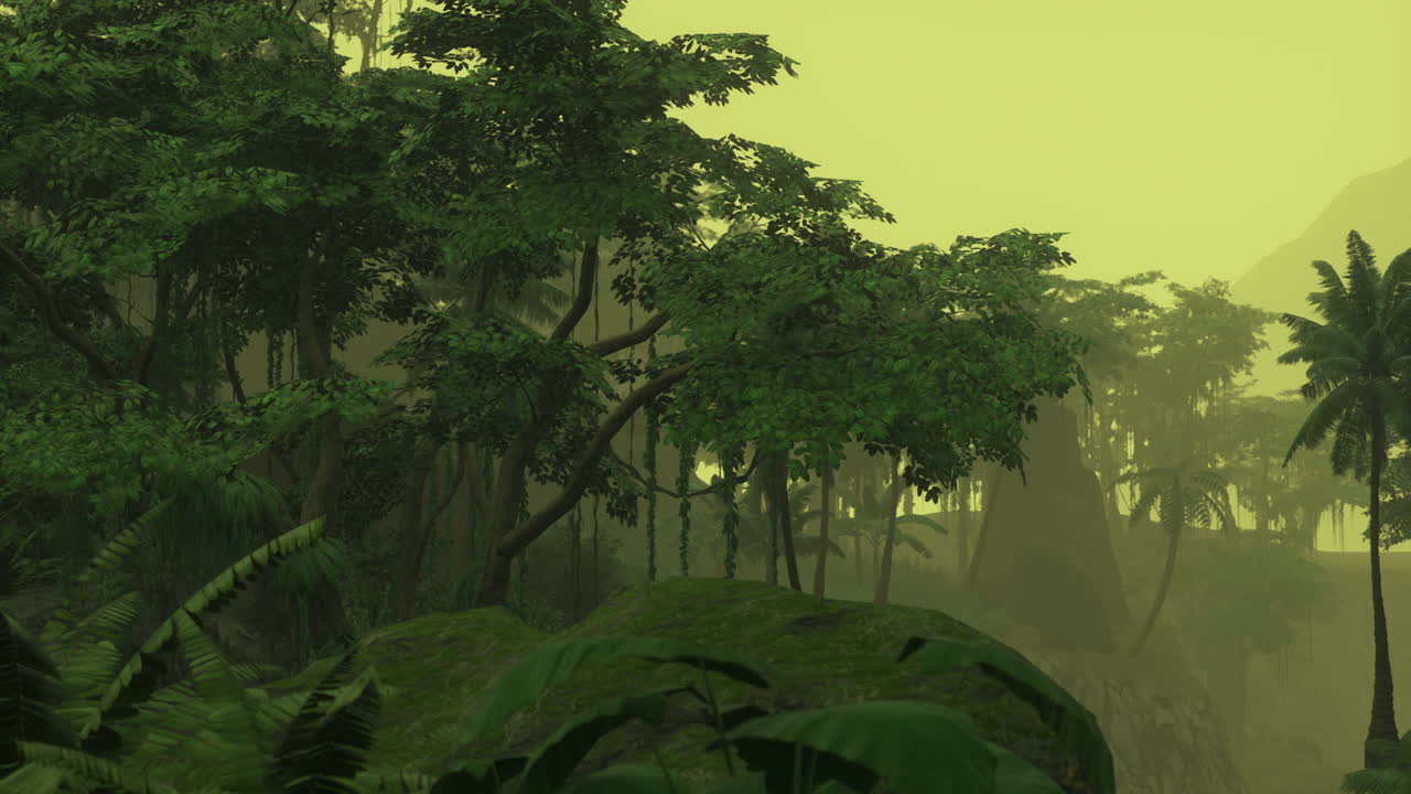 Misty forest landscape at dawn with lush green vegetation