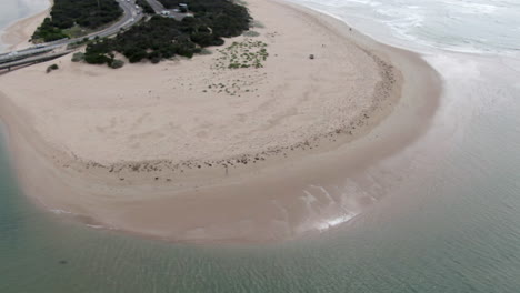 AERIAL-Utility-Vehicle-Driving-Along-A-Beach,-Dogs-In-Foreground