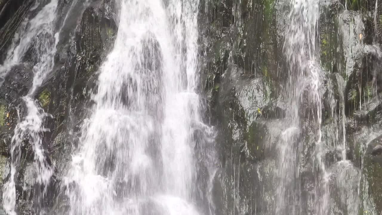 Waterfalls in forest area 
