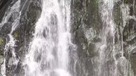 waterfalls in forest area