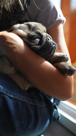 a sleepy pug puppy in a loving embrace