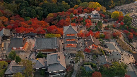 un impresionante clip de drone de la pagoda kiyomizu-dera en kyoto al atardecer, capturando el pico del follaje rojo del otoño.