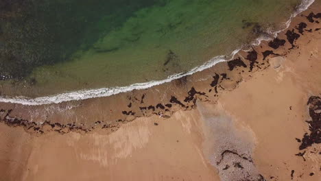 ascending birds-eye aerial view of woman picking up trash on shoreline of a beach