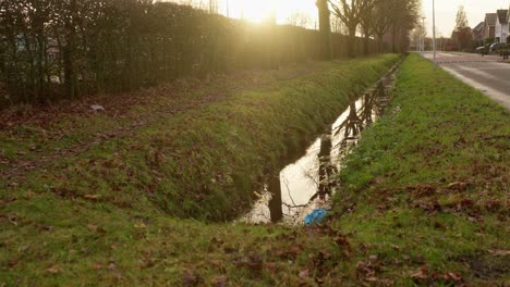 small creek in a dutch neighborhood while sun is flaring from the background