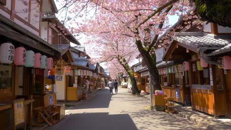 spring day on a traditional japanese street lined with cherry blossoms and lanterns