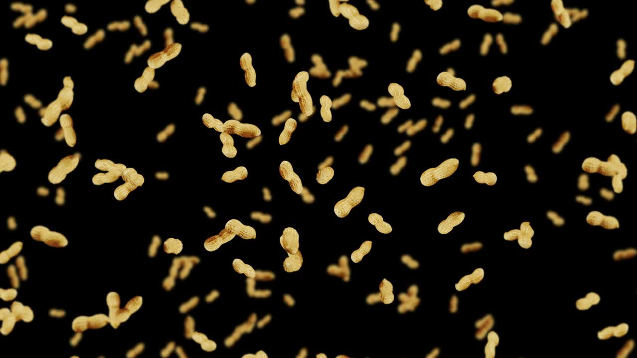 Molti arachidi che volano su sfondo nero. Arachidi crude. Arachidi con guscio. Cibo biologico sano. Animazione 3D in loop di semi che ruotano.