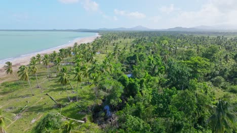 Flying-over-palm-trees-and-empty-beach-of-playa-Bahia-Esmeralda,-Miches-in-Dominican-Republic