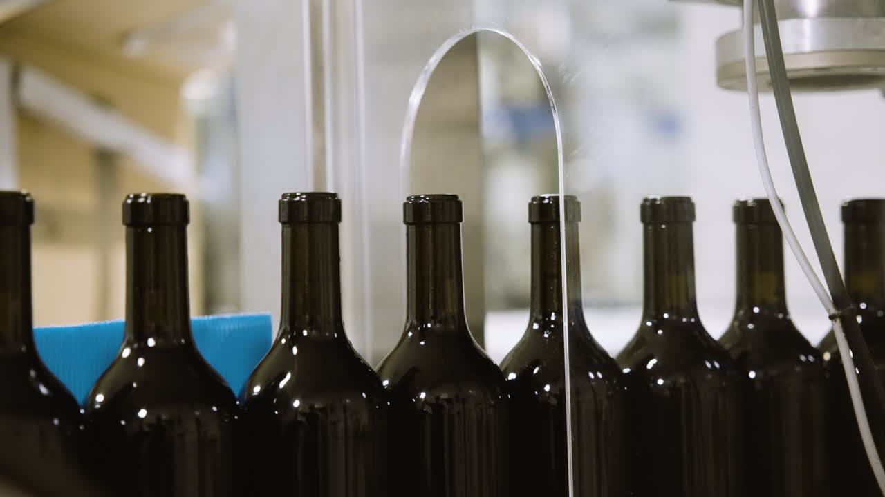 las botellas de vino se mueven a lo largo de una cinta transportadora en una línea de producción