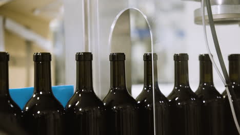 wine bottles move along a conveyor belt in a production line setting