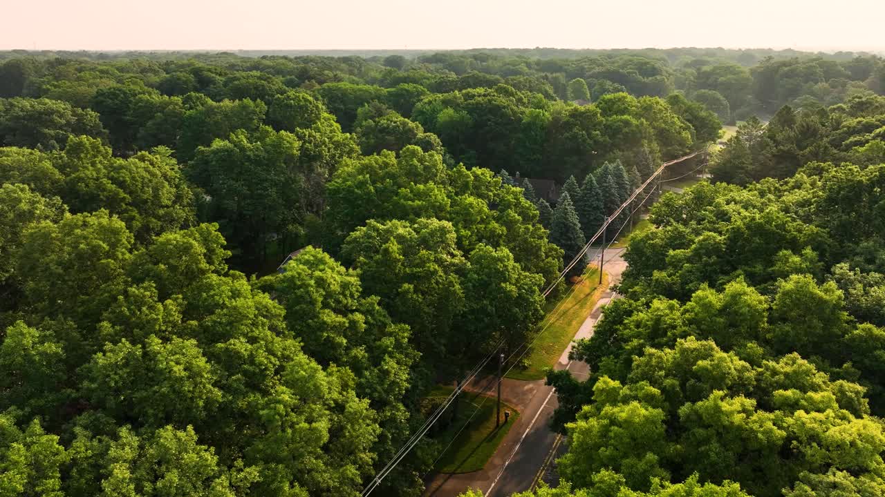 여름 해가 뜨면 노튼 해안 주변의 울창한 나무에 색이  ⁇ 아집니다.