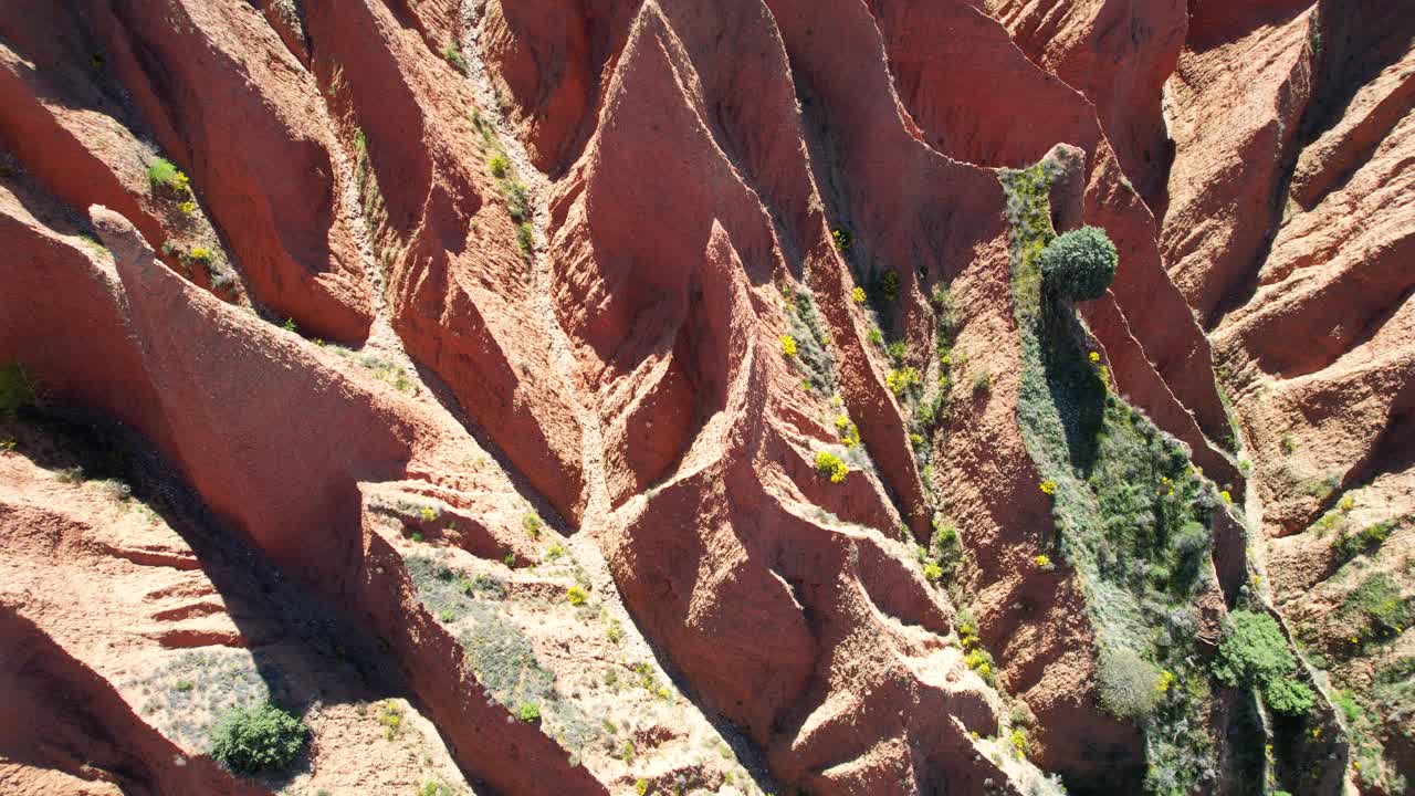 4K Bird's eye view aerial drone shot of Las Carcavas eroded landscape, zoom out