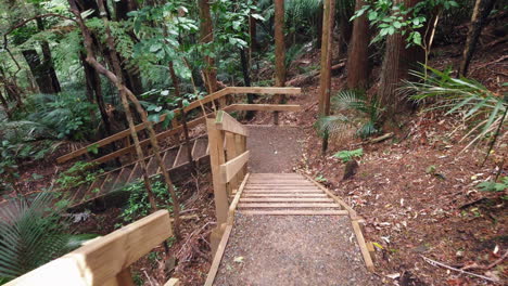 point of view of walking down wooden stairs in tropical rainforest park, slowmo