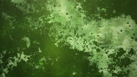 Horror-and-mystical-green-toxic