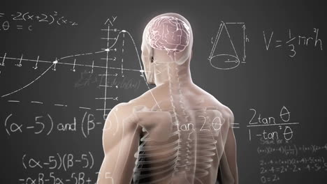 animation of spinning brain over mathematical equations